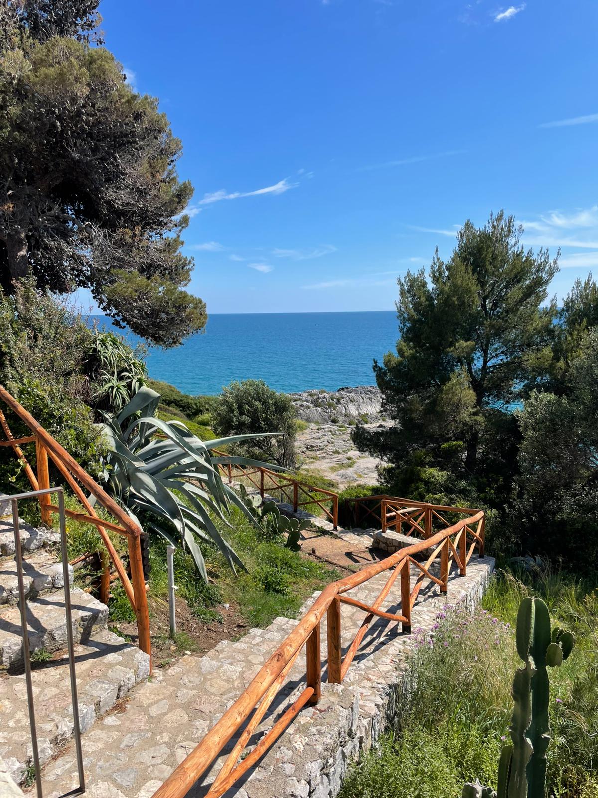 Sentieri del Parco Nazionale del Cilento vicino Marina di Camerota